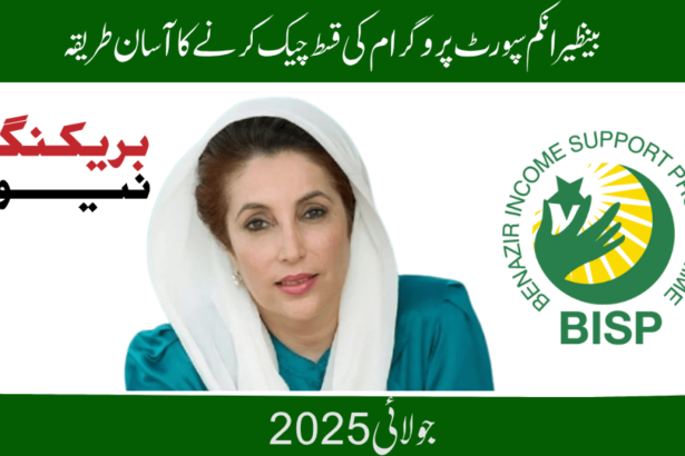 BISP 8171 Result Check Online by CNIC 2025